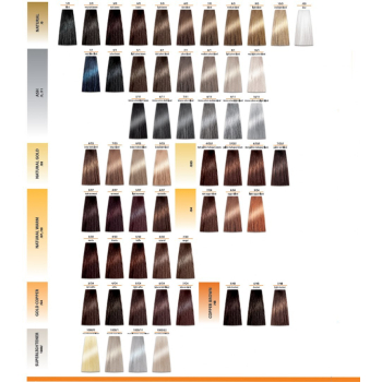 CHANTAL PROSALON FARBA DO WŁOSóW COLOR ART 100ML  KOLOR DO WYBORU 